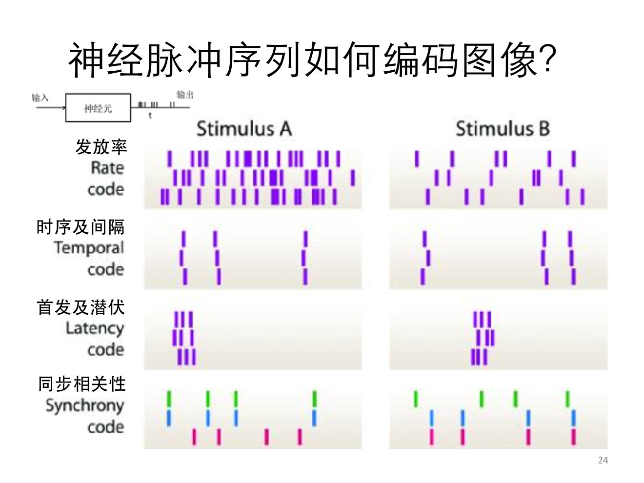 威斯尼斯wns888入口app